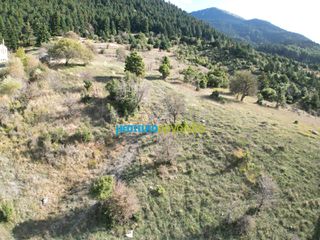 Land plot 12.100 sqm for sale, Arcadia, Vitina-thumb-1
