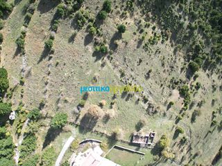Land plot 12.100 sqm for sale, Arcadia, Vitina-thumb-7