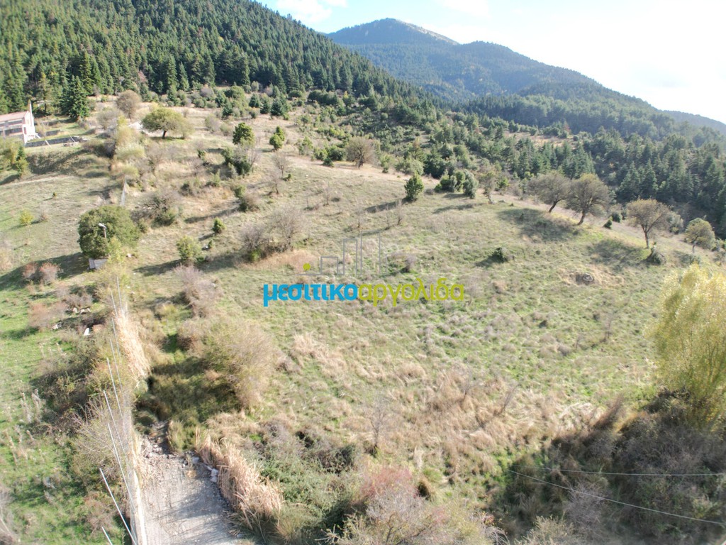 Οικόπεδο 12.100 τ.μ. για πώληση, Αρκαδία, Βιτίνα