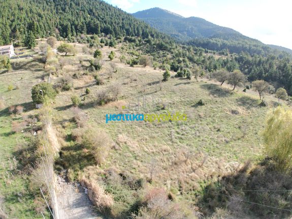 Land plot 12.100 sqm for sale, Arcadia, Vitina