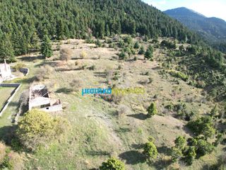 Land plot 12.100 sqm for sale, Arcadia, Vitina-thumb-2