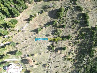 Land plot 12.100 sqm for sale, Arcadia, Vitina-thumb-8