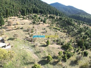 Land plot 12.100 sqm for sale, Arcadia, Vitina-thumb-3