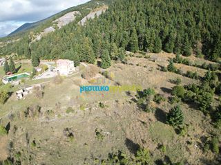 Land plot 12.100 sqm for sale, Arcadia, Vitina-thumb-4