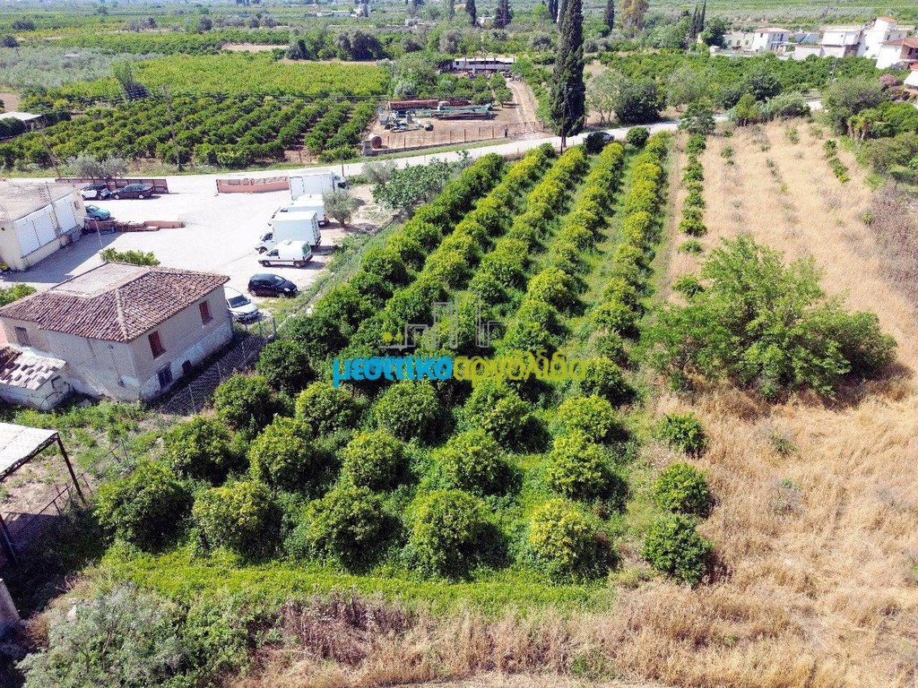 Οικόπεδο 2.000 τ.μ. προς πώληση, Κεφαλάρι Άργους