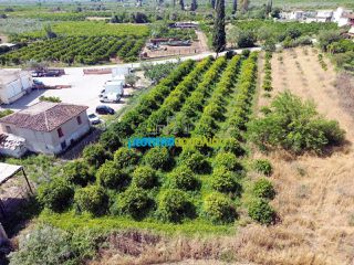 Οικόπεδο 2.000 τ.μ. για πώληση, Αργολίδα, Άργος-thumb-3