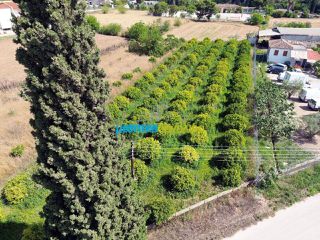 Οικόπεδο 2.000 τ.μ. για πώληση, Αργολίδα, Άργος-thumb-14