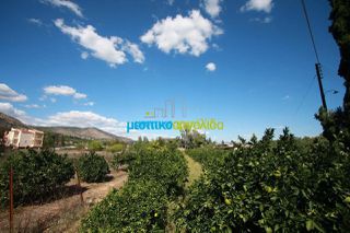 Οικόπεδο 2.000 τ.μ. για πώληση, Αργολίδα, Άργος-thumb-16