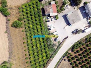 Οικόπεδο 2.000 τ.μ. για πώληση, Αργολίδα, Άργος-thumb-9