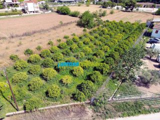 Οικόπεδο 2.000 τ.μ. για πώληση, Αργολίδα, Άργος-thumb-12