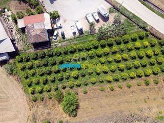 Οικόπεδο 2.000 τ.μ. για πώληση, Αργολίδα, Άργος-thumb-8