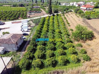 Οικόπεδο 2.000 τ.μ. για πώληση, Αργολίδα, Άργος-thumb-4