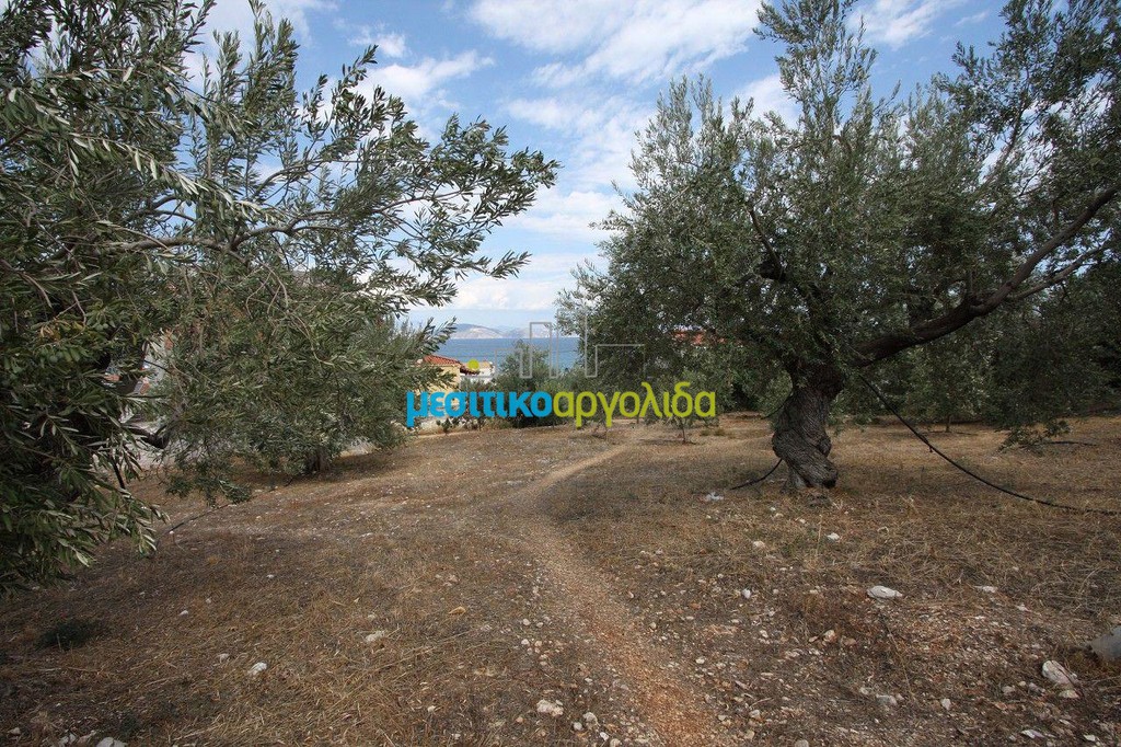Οικόπεδο 2.573 τ.μ. προς πώληση, Ξηροπήγαδο Βόρειας Κυνουρίας