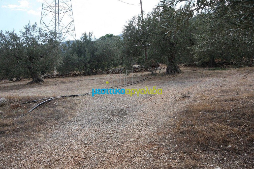 Οικόπεδο 2.573 τ.μ. προς πώληση, Ξηροπήγαδο Βόρειας Κυνουρίας