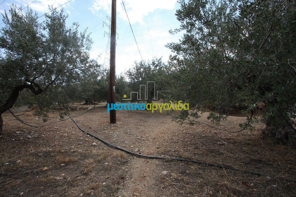 Οικόπεδο 2.573 τ.μ. προς πώληση, Ξηροπήγαδο Βόρειας Κυνουρίας