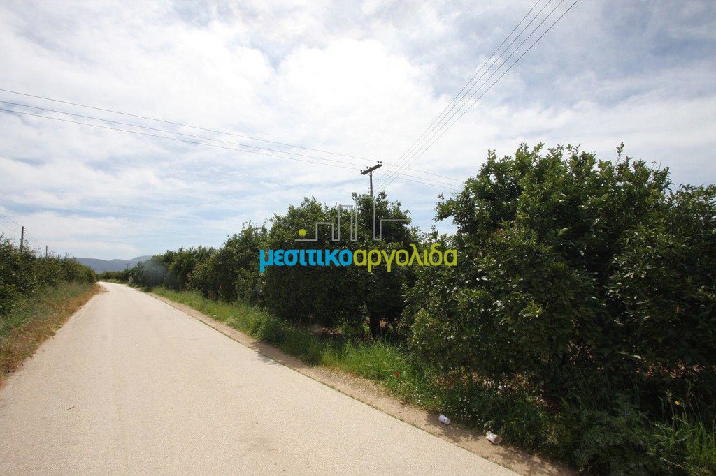 Αγροτεμάχια 3.440 τ.μ. προς πώληση, Κέντρο Κουτσοποδίου