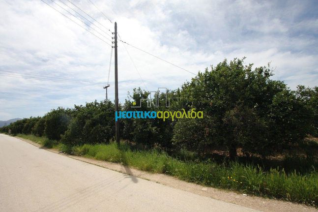 Αγροτεμάχια 3.440 τ.μ. για πώληση, Αργολίδα, Κουτσοπόδι