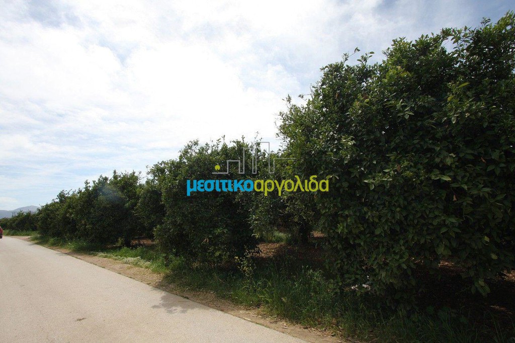 Αγροτεμάχια 3.440 τ.μ. προς πώληση, Κέντρο Κουτσοποδίου