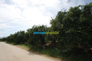 Αγροτεμάχια 3.440 τ.μ. πρός πώληση, Αργολίδα, Κουτσοπόδι-thumb-3