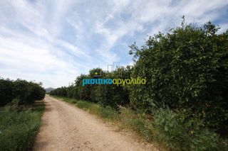 Αγροτεμάχια 3.440 τ.μ. πρός πώληση, Αργολίδα, Κουτσοπόδι-thumb-5