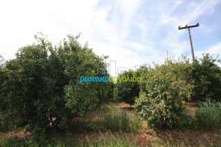 Αγροτεμάχια 3.440 τ.μ. πρός πώληση, Αργολίδα, Κουτσοπόδι-thumb-2