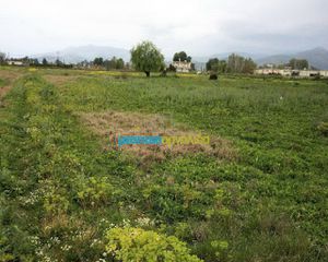 Οικόπεδο 7.075 τ.μ. για πώληση, Αργολίδα, Άργος-thumb-1