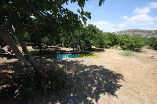 Οικόπεδο 2.092 τ.μ. για πώληση, Αργολίδα, Άργος-thumb-3