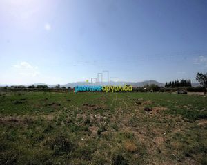 Αγροτεμάχια 7.500 τ.μ. προς πώληση, Κέντρο Νέας Κίου-thumb-21
