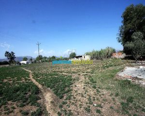 Αγροτεμάχια 7.500 τ.μ. προς πώληση, Κέντρο Νέας Κίου-thumb-13