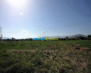 Αγροτεμάχια 7.500 τ.μ. προς πώληση, Κέντρο Νέας Κίου-thumb-22
