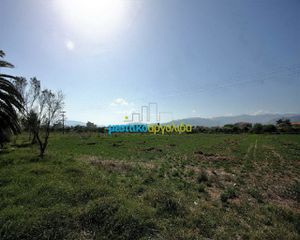 Αγροτεμάχια 7.500 τ.μ. προς πώληση, Κέντρο Νέας Κίου-thumb-24