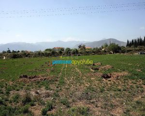 Αγροτεμάχια 7.500 τ.μ. προς πώληση, Κέντρο Νέας Κίου-thumb-20
