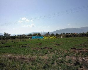 Αγροτεμάχια 7.500 τ.μ. προς πώληση, Κέντρο Νέας Κίου-thumb-19