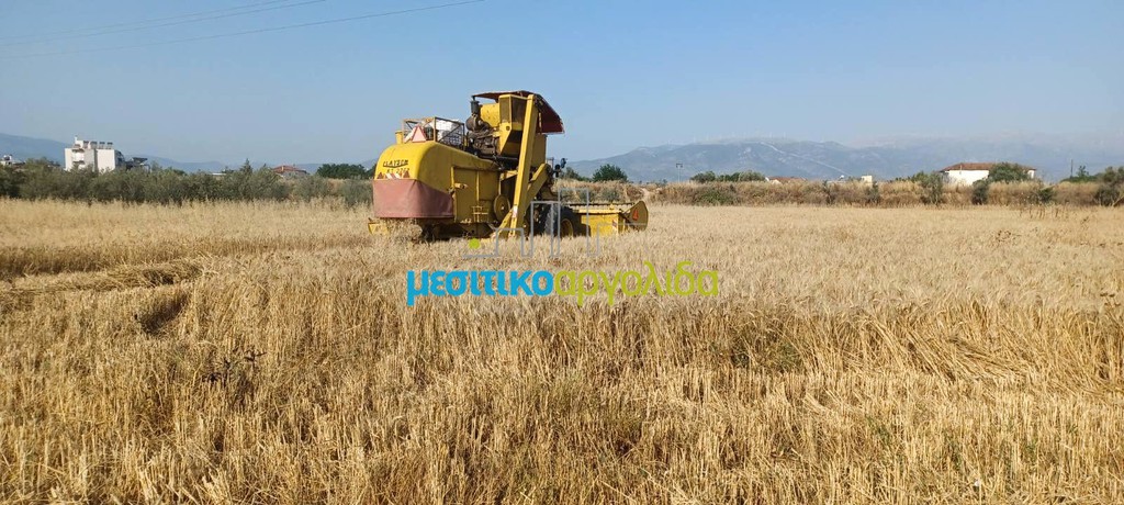 Αγροτεμάχια 7.500 τ.μ. προς πώληση, Κέντρο Νέας Κίου