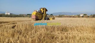 Αγροτεμάχια 7.500 τ.μ. προς πώληση, Κέντρο Νέας Κίου-thumb-4