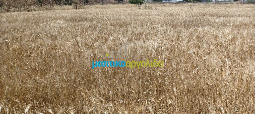 Αγροτεμάχια 7.500 τ.μ. προς πώληση, Κέντρο Νέας Κίου