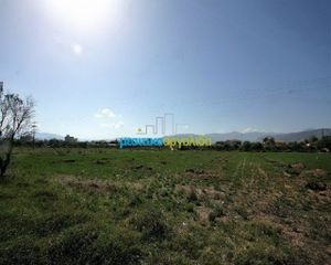 Αγροτεμάχια 7.500 τ.μ. προς πώληση, Κέντρο Νέας Κίου-thumb-23
