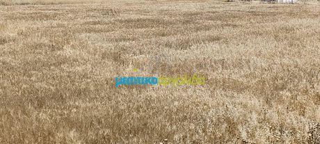 Αγροτεμάχια 7.500τ.μ. για πώληση-Νέα κίος