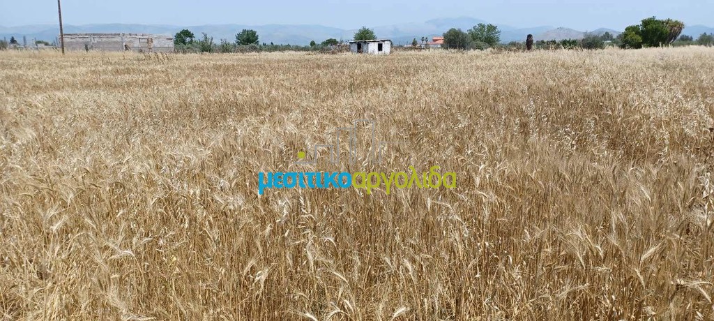 Αγροτεμάχια 7.500 τ.μ. προς πώληση, Κέντρο Νέας Κίου