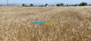 Αγροτεμάχια 7.500 τ.μ. προς πώληση, Κέντρο Νέας Κίου-thumb-2