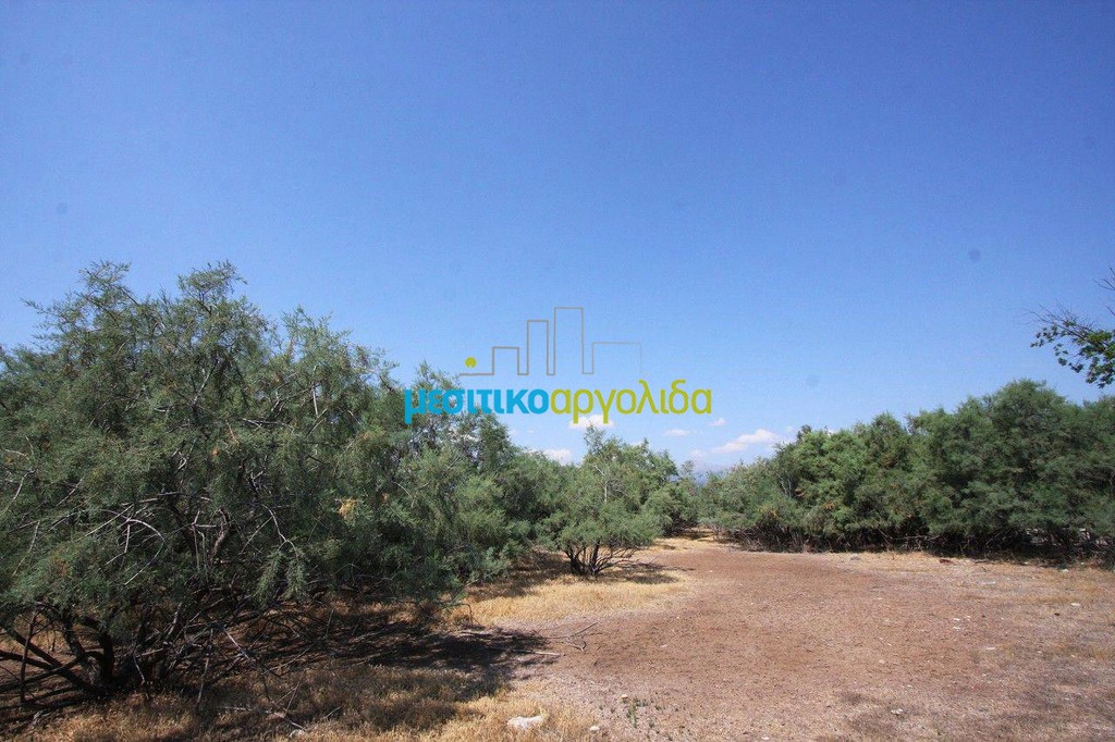 Αγροτεμάχια 2.000 τ.μ. προς πώληση, Άργος