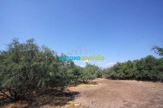 Αγροτεμάχια 2.000 τ.μ. για πώληση, Αργολίδα, Άργος-thumb-2