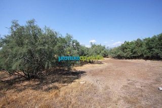 Αγροτεμάχια 2.000 τ.μ. για πώληση, Αργολίδα, Άργος-thumb-5