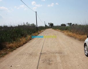 Αγροτεμάχια 2.000 τ.μ. για πώληση, Αργολίδα, Άργος-thumb-7