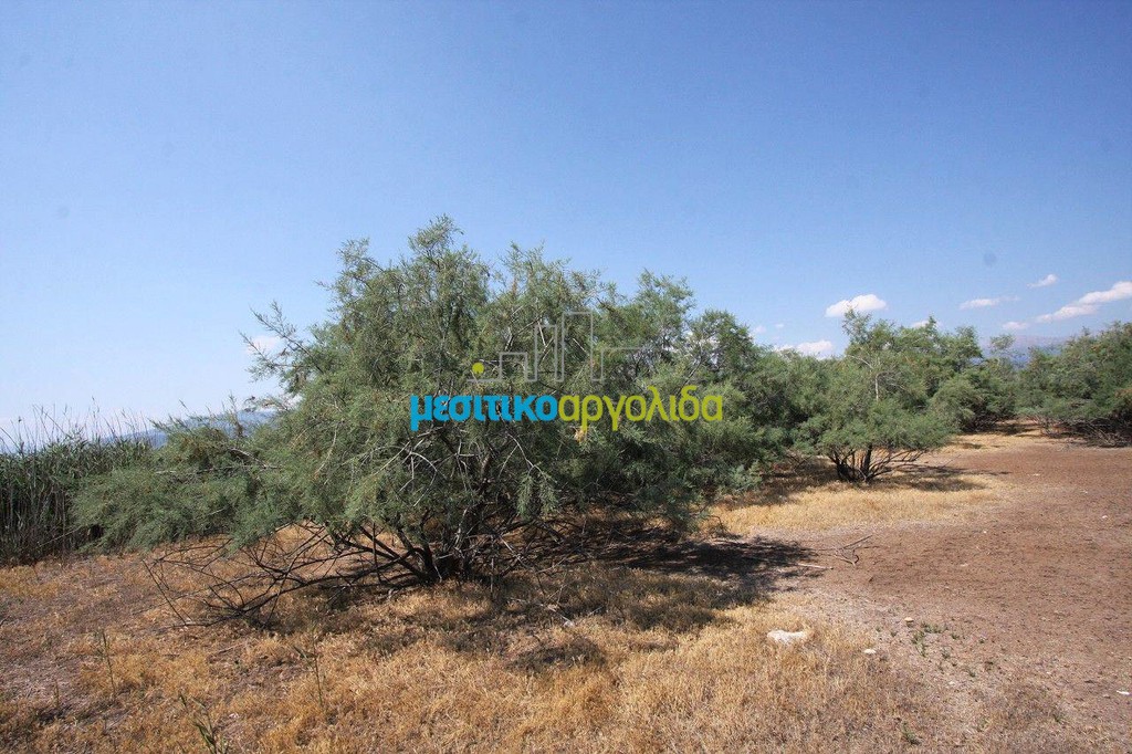 Αγροτεμάχια 2.000 τ.μ. προς πώληση, Άργος