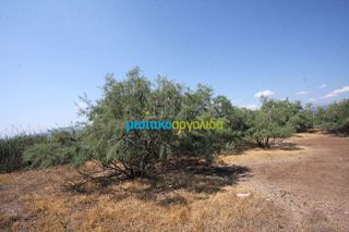 Αγροτεμάχια 2.000 τ.μ. για πώληση, Αργολίδα, Άργος-thumb-4