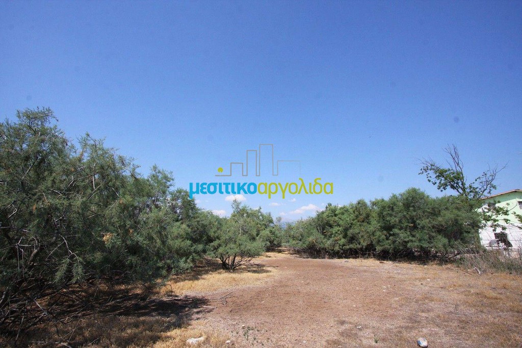 Αγροτεμάχια 2.000 τ.μ. προς πώληση, Άργος