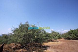 Αγροτεμάχια 2.000 τ.μ. για πώληση, Αργολίδα, Άργος-thumb-3