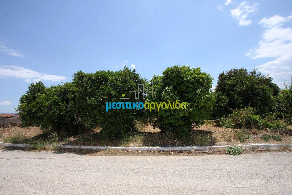 Οικόπεδο 1.900 τ.μ. προς πώληση, Κουρτάκι Άργους