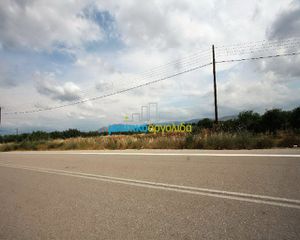 Οικόπεδο 8.800 τ.μ. πρός πώληση, Αργολίδα, Νέα Τίρυνθα-thumb-7